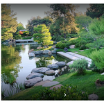 The Japanese Friendship Garden of Phoenix