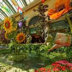 Bellagio Conservatory & Botanical Gardens