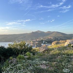 Round Trip Honeymoon Plane Tickets