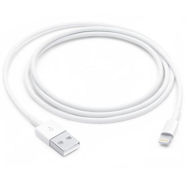 Lightning to USB Cable (1 m)