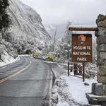 Yosemite National Park