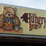 Hungry Bear