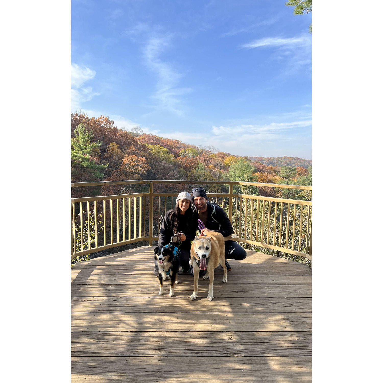 One of our favorite past times is hiking with our girls Harley & Coco
