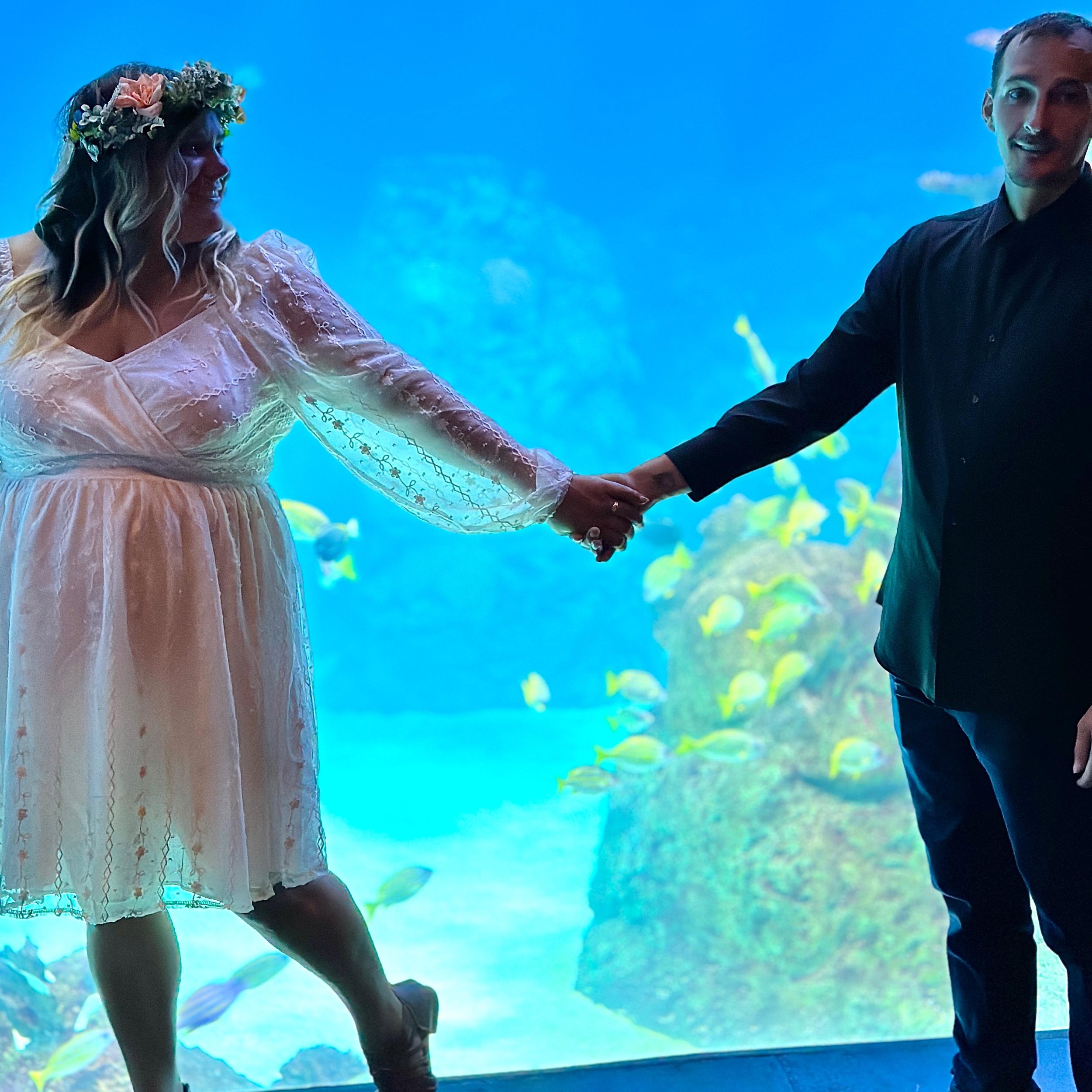 Hero Slideshow Image 2