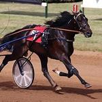 Red Mile Gaming & Racing