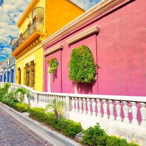 Walking Tour of Mazatlán and Lunch!
