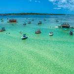 Crab Island Adventure