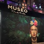 Museo Frida Kahlo Playa Del Carmen