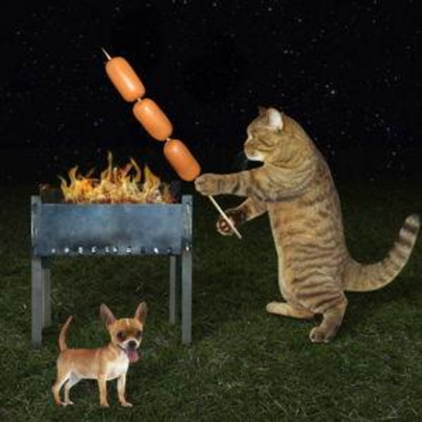 New Backyard Grill
