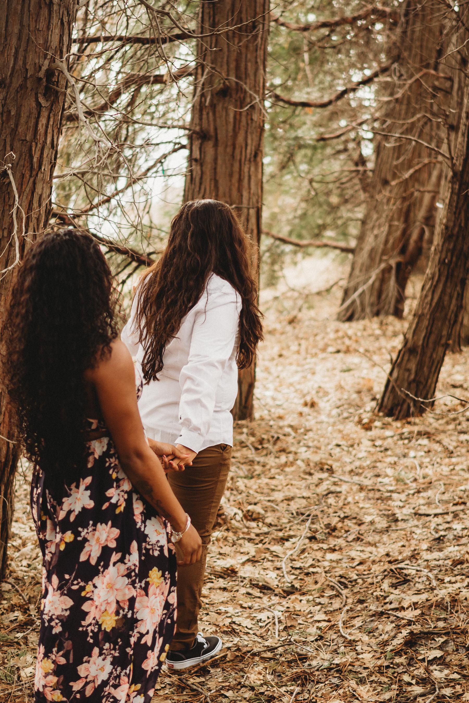 The Wedding Website of Arielle Mccullough and Krista Powell