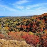 Beamer Memorial Conservation Area