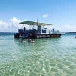 Destin Snorkel