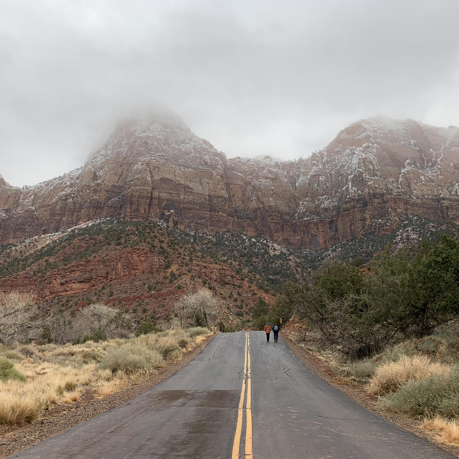 Zion NP