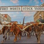 Fort Worth Stockyards