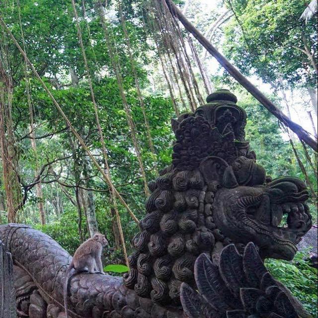 Excursion to the Sacred Monkey Forest