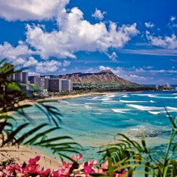 Hawaiian Honeymoon!