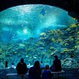 Seattle Aquarium