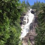 Shannon Falls