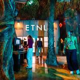 Meow Wolf Houston's Radio Tave