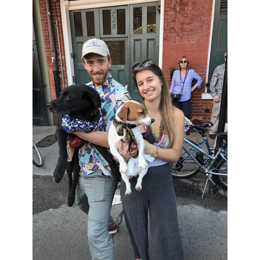 Barkus, 2017