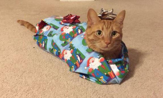 9e9ef2d1-bb66-4055-92a8-a748afdf8da4