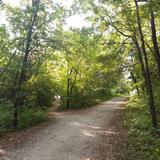 Burr Oak Woods Conservation Area