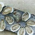 Eventide Oyster Co.