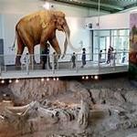 Waco Mammoth National Monument