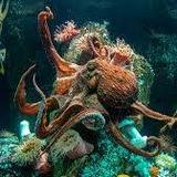 Vancouver Aquarium