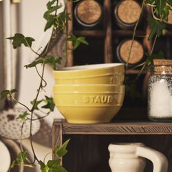 Staub, 2-Piece Large Universal Bowl Set | Zola