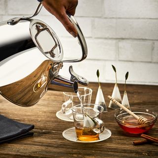 Stainless Steel Tea Kettle