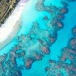 Abaco Favorites List