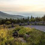 Asheville Hiking Trails