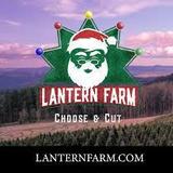 Lantern Farm