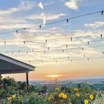 Fredericksburg, TX