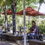 Masia de la Vinya Winery