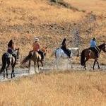 Sun Hills Riding Centre