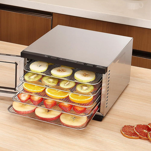 Food Dehydrator Machine - 5 Stainless Steel Trays, Digital Adjustable Timer, 400W, 176°F, Temperature Control, Mini Dryer for Jerky, Herb, Meat, Beef, Fruit and Dog Treats, Model 2015YJ, Silver