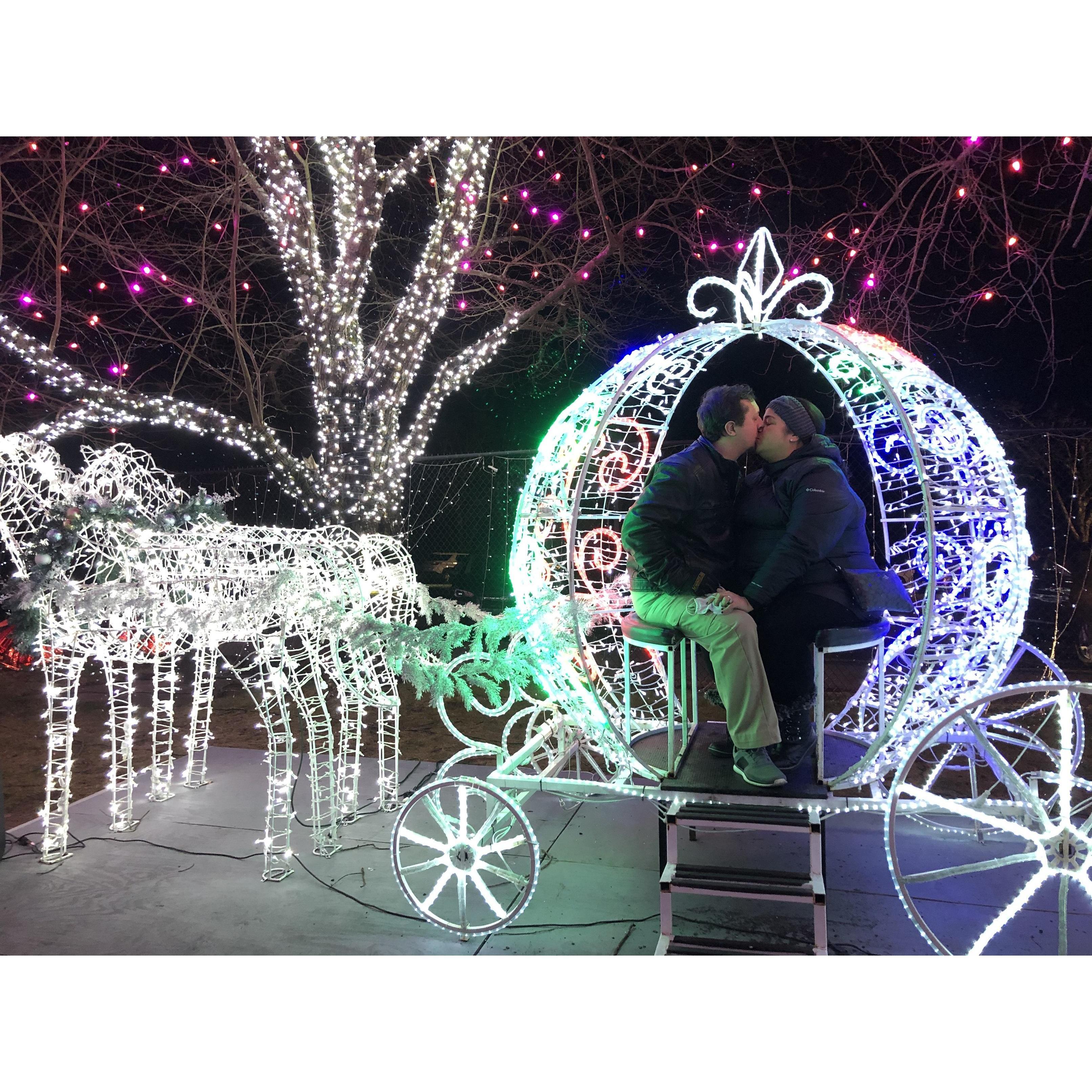 Lehigh Valley Zoo Winter Light Spectacular
January 2021