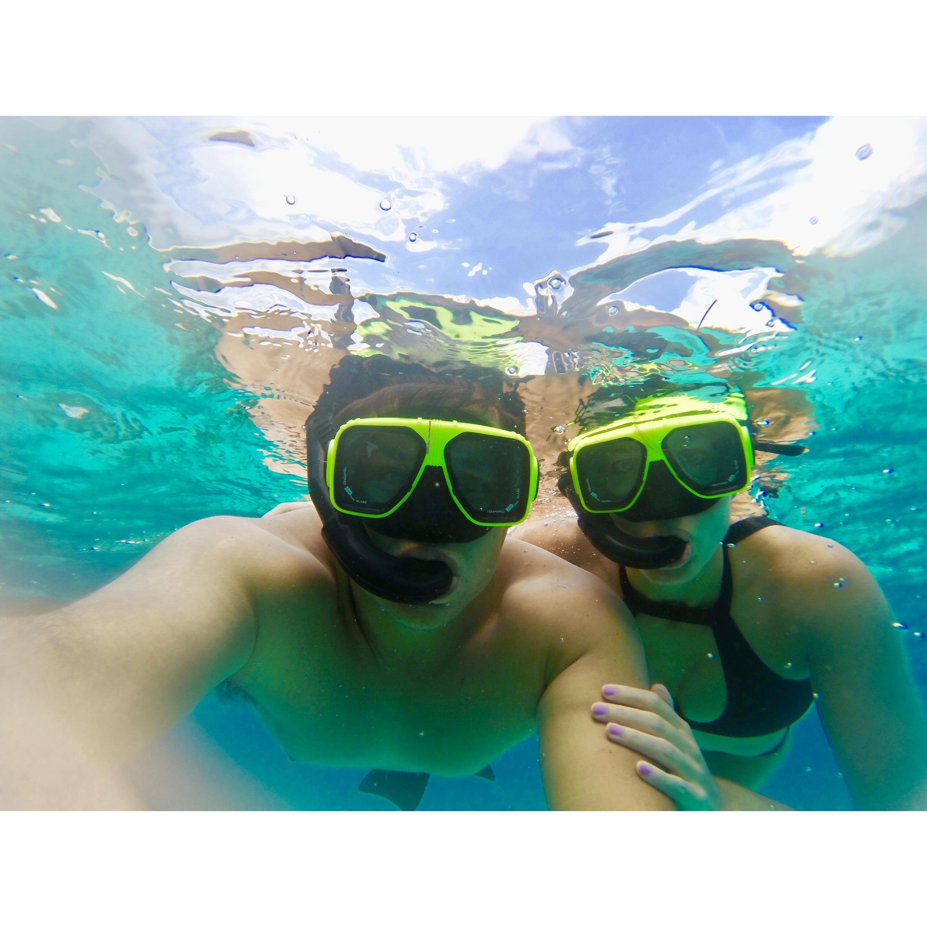 Snorkeling in the Caymans