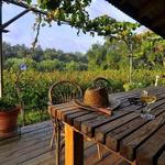 Pontiglio Winery