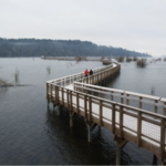 Nisqually National Wildlife Refuge
