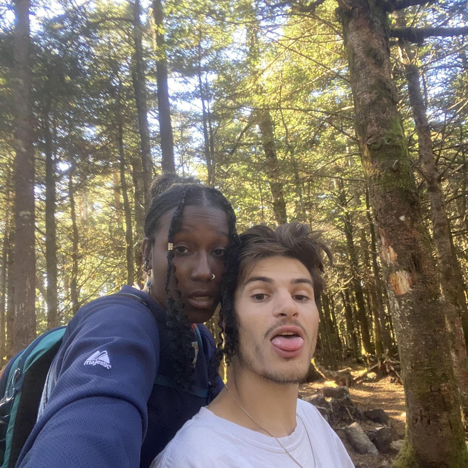 Mount Rogers, Highest Peak Pic