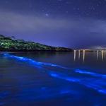 Vieques Bioluminescent Bay