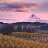 Hood River Fruit Loop
