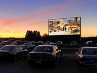 The Globe Drive-In Movie