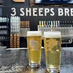 3 Sheeps Brewing | Sheboygan