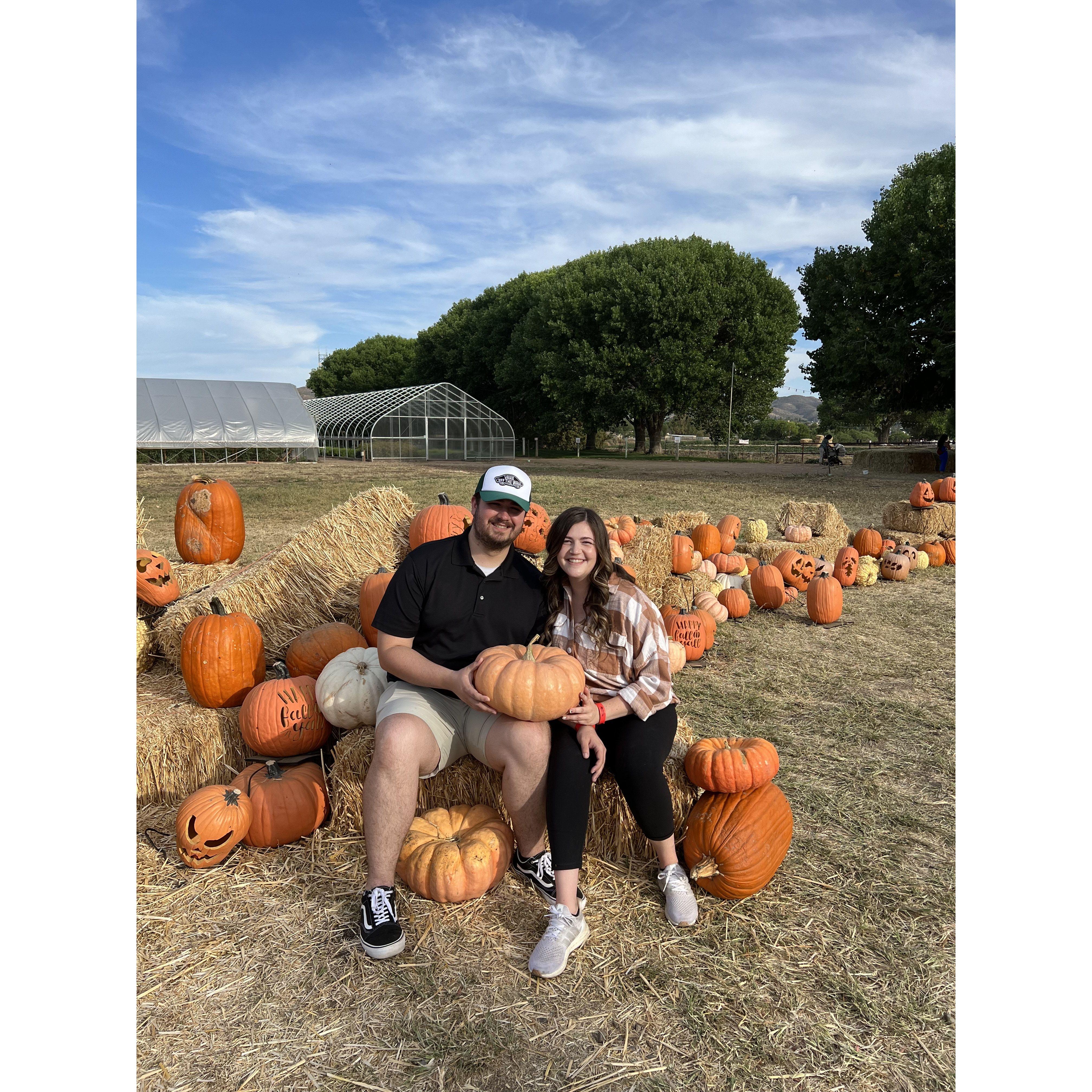 Pumpkin patch at Mortimer Farms!