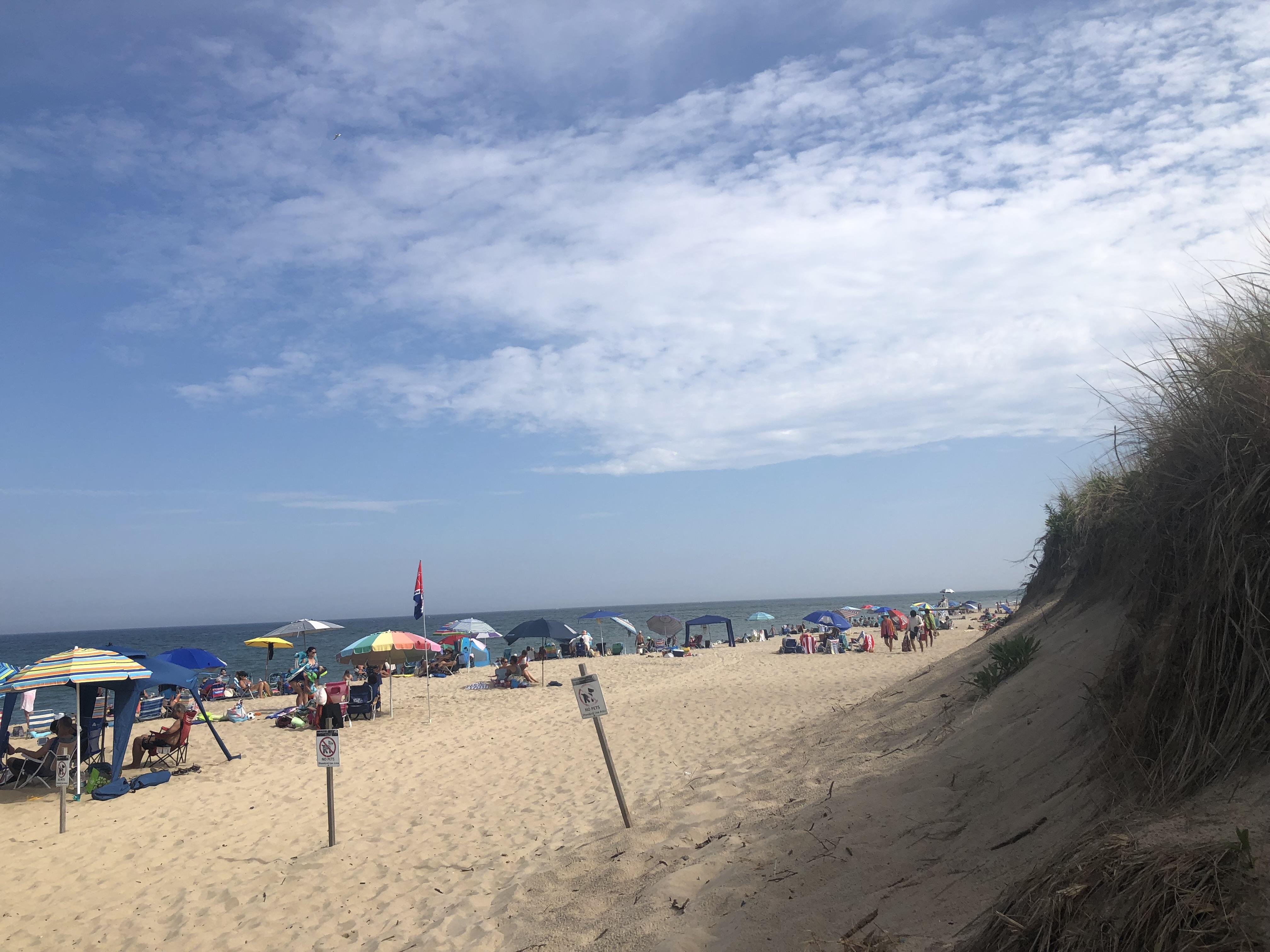 The Wedding Website of Amanda Converse and Ian Lee