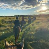 Lake Louisa State Park Guided Horse Back Trail Rides